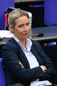 163. Sitzung des Deutschen Bundestages in Berlin