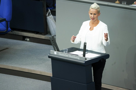 163. Sitzung des Deutschen Bundestages in Berlin