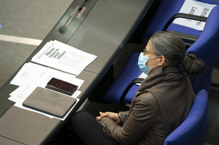 163. Sitzung des Deutschen Bundestages in Berlin