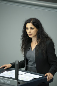 163. Sitzung des Deutschen Bundestages in Berlin