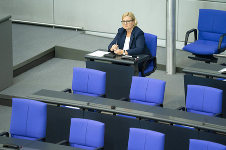 163. Sitzung des Deutschen Bundestages in Berlin