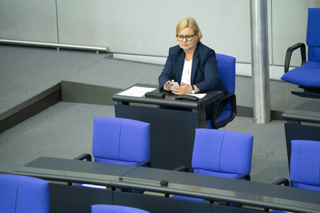 163. Sitzung des Deutschen Bundestages in Berlin