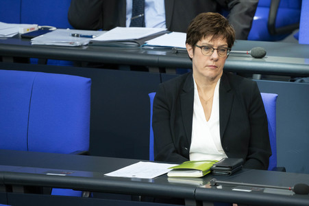 163. Sitzung des Deutschen Bundestages in Berlin