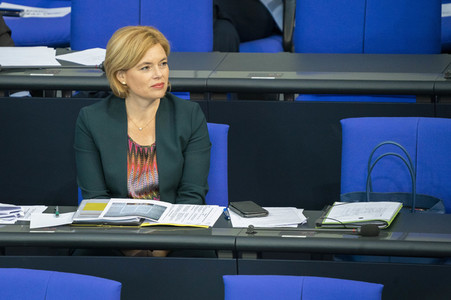 163. Sitzung des Deutschen Bundestages in Berlin