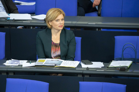 163. Sitzung des Deutschen Bundestages in Berlin