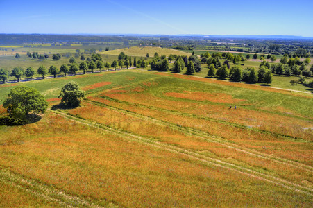 Mohnfeld am Kronsberg in Hannover