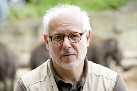 Elefanten-Nachwuchs im Kölner Zoo