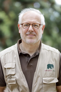 Elefanten-Nachwuchs im Kölner Zoo