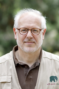 Elefanten-Nachwuchs im Kölner Zoo