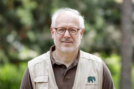 Elefanten-Nachwuchs im Kölner Zoo