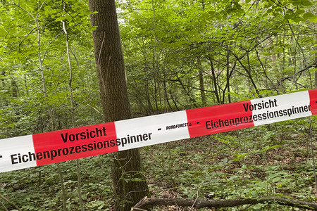 Ausbreitung der Eichenprozessionsspinner um Köln