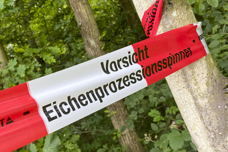 Ausbreitung der Eichenprozessionsspinner um Köln