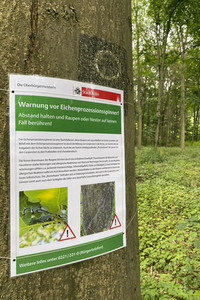 Ausbreitung der Eichenprozessionsspinner um Köln