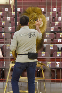 Pre-Presse-Empfang vom Circus Krone in München