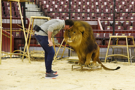 Pre-Presse-Empfang vom Circus Krone in München