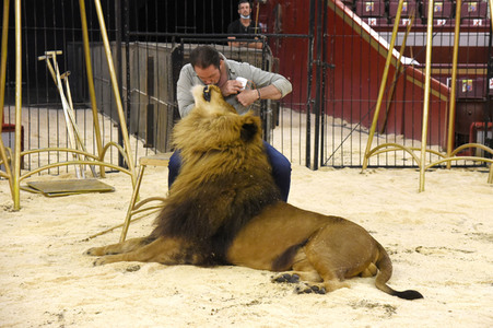 Pre-Presse-Empfang vom Circus Krone in München