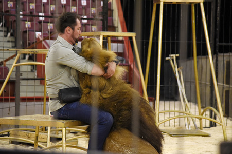 Pre-Presse-Empfang vom Circus Krone in München