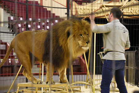 Pre-Presse-Empfang vom Circus Krone in München