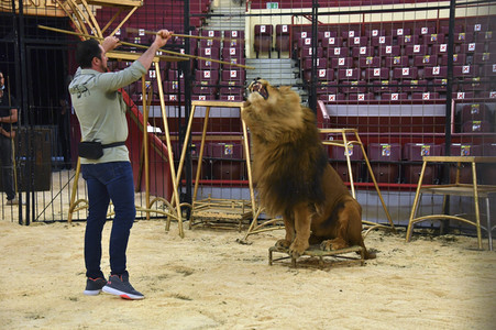 Pre-Presse-Empfang vom Circus Krone in München