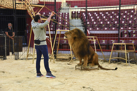 Pre-Presse-Empfang vom Circus Krone in München
