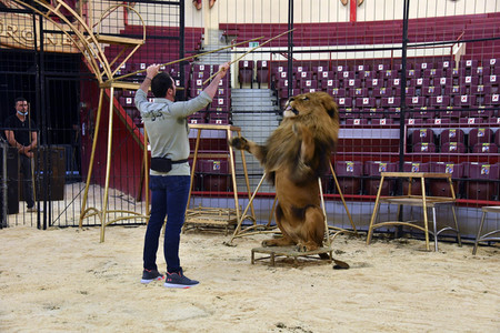 Pre-Presse-Empfang vom Circus Krone in München