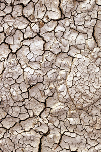 Symbolfoto Dürre