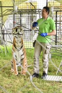 Presserundgang auf der Circus Krone-Farm. Weßling
