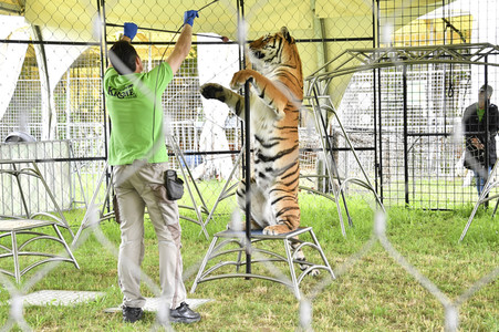 Presserundgang auf der Circus Krone-Farm. Weßling