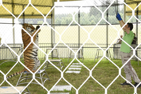 Presserundgang auf der Circus Krone-Farm in Weßling