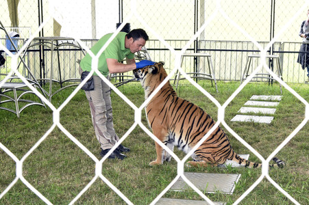 Presserundgang auf der Circus Krone-Farm in Weßling