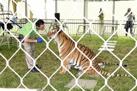 Presserundgang auf der Circus Krone-Farm in Weßling