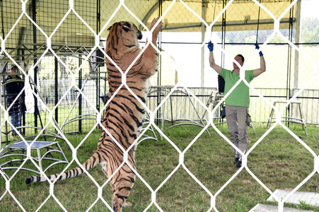 Presserundgang auf der Circus Krone-Farm in Weßling