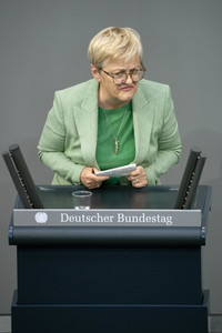 171. Sitzung des Deutschen Bundestages in Berlin