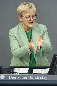 171. Sitzung des Deutschen Bundestages in Berlin