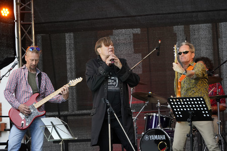 Picknickkonzert mit Ulli und die grauen Zellen in Werder