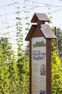 Hopfengut No20 in Tettnang