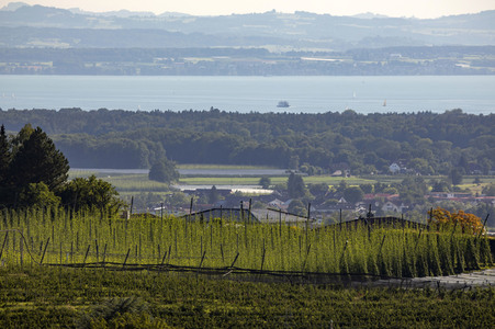 Hopfengut No20 in Tettnang