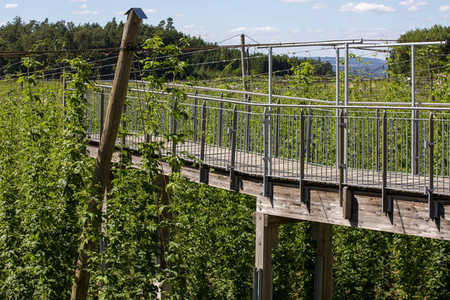 Hopfengut No20 in Tettnang