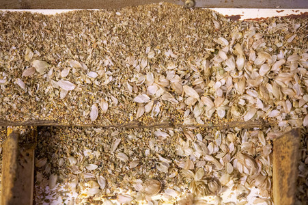 Hopfengut No20 in Tettnang