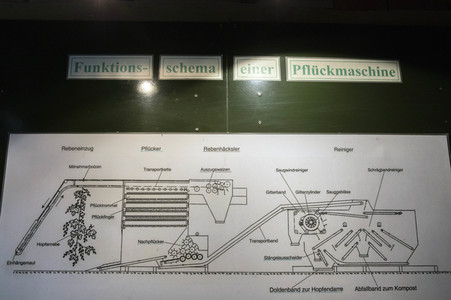 Hopfengut No20 in Tettnang