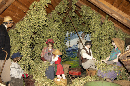 Hopfengut No20 in Tettnang