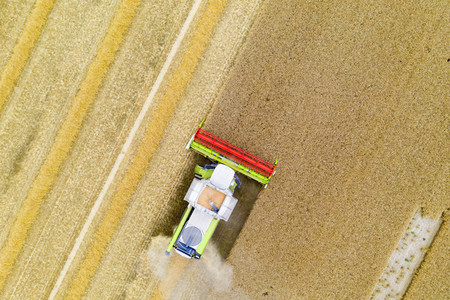 Symbolfoto Getreideernte