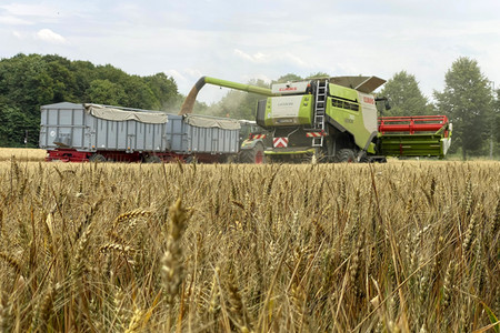 Symbolfoto Getreideernte