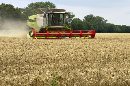 Symbolfoto Getreideernte