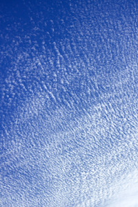 Symbolfoto Cirrocumulus