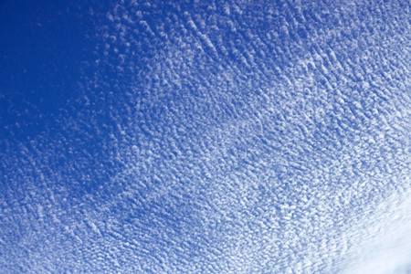 Symbolfoto Cirrocumulus