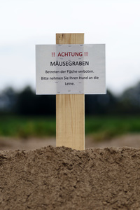 Symbolfoto Mäusegraben