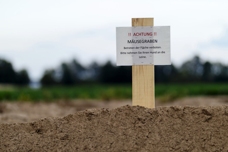Symbolfoto Mäusegraben