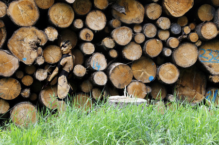 NATURE ART: Holzstapel / Wood Pile Bodypainting