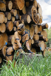 NATURE ART: Holzstapel / Wood Pile Bodypainting